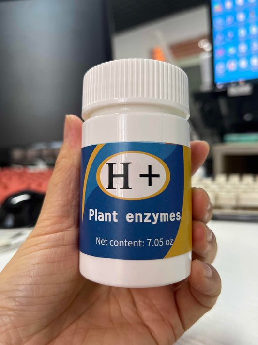 H+ Nutri Plant Enzymes with Lactase, Protease, Papain and Bromelain